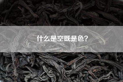 什么是空既是色？
