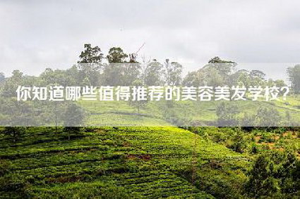 你知道哪些值得推荐的美容美发学校？