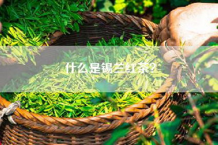 什么是锡兰红茶？