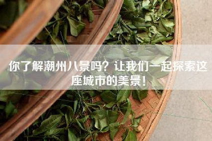 你了解潮州八景吗？让我们一起探索这座城市的美景！