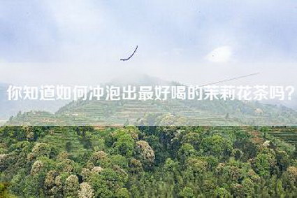 你知道如何冲泡出最好喝的茉莉花茶吗？