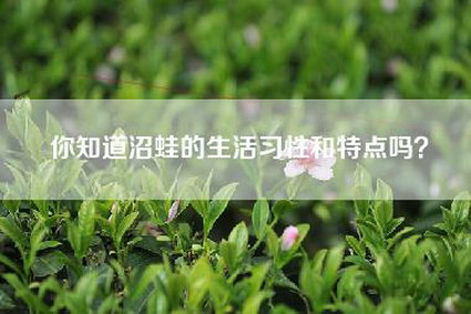 你知道沼蛙的生活习性和特点吗？