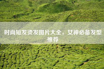 时尚短发烫发图片大全，女神必备发型推荐
