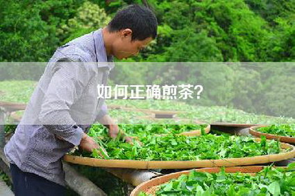 如何正确煎茶？