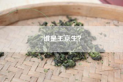 谁是王京生？