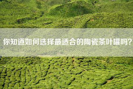 你知道如何选择最适合的陶瓷茶叶罐吗？