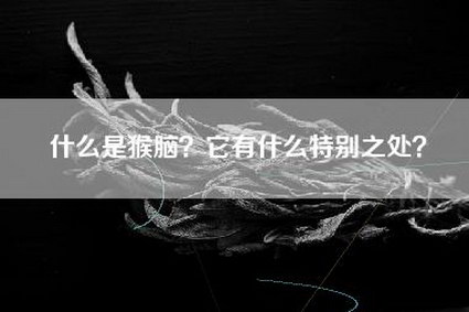 什么是猴脑？它有什么特别之处？