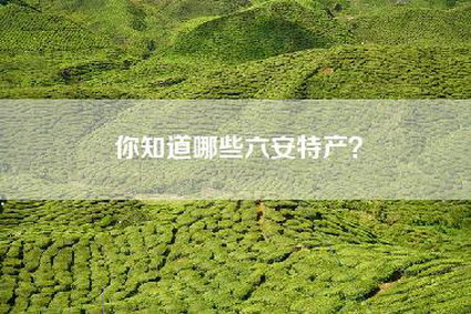 你知道哪些六安特产？