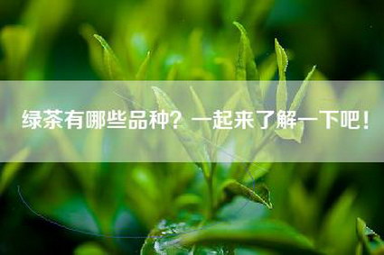 绿茶有哪些品种？一起来了解一下吧！