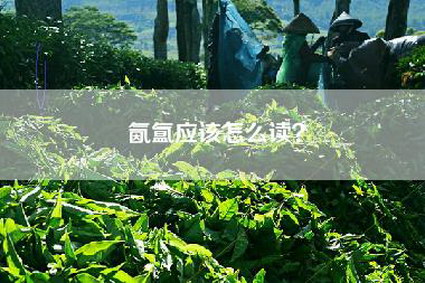氤氲应该怎么读？