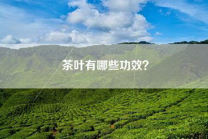 茶叶有哪些功效？