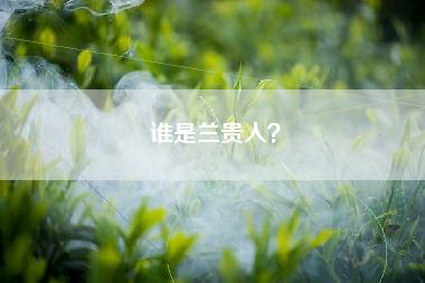 谁是兰贵人？