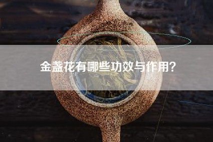金盏花有哪些功效与作用？