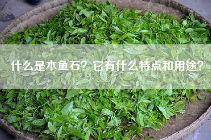 什么是木鱼石？它有什么特点和用途？