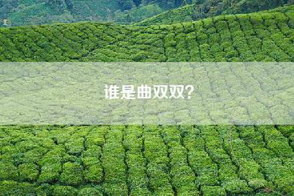 谁是曲双双？