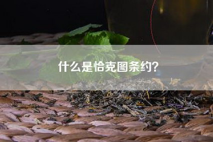 什么是恰克图条约？