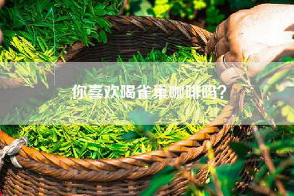 你喜欢喝雀巢咖啡吗？