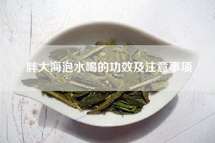胖大海泡水喝的功效及注意事项