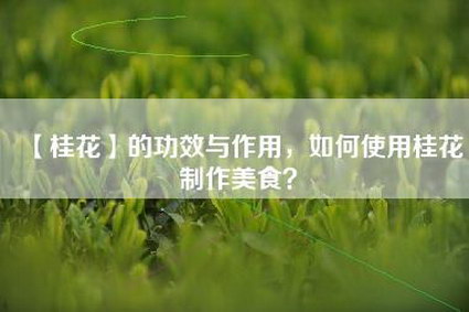 【桂花】的功效与作用，如何使用桂花制作美食？