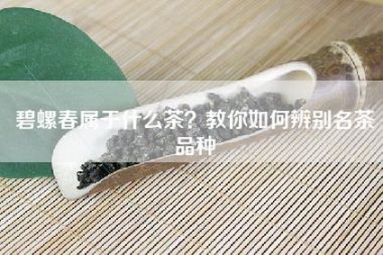 碧螺春属于什么茶？教你如何辨别名茶品种