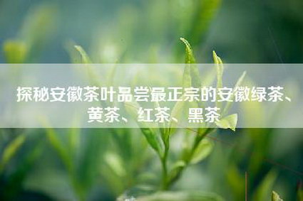 探秘安徽茶叶品尝最正宗的安徽绿茶、黄茶、红茶、黑茶