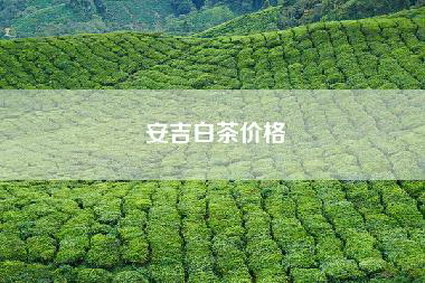 安吉白茶价格