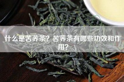 什么是苦荞茶？苦荞茶有哪些功效和作用？