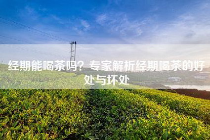 经期能喝茶吗？专家解析经期喝茶的好处与坏处