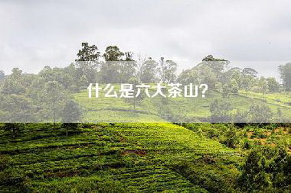 什么是六大茶山？