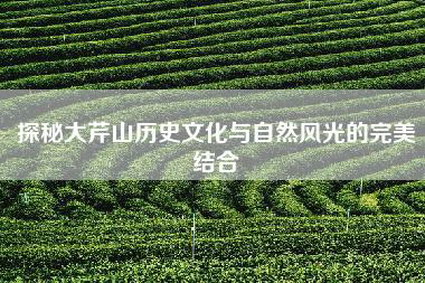 探秘大芹山历史文化与自然风光的完美结合