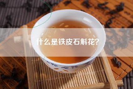 什么是铁皮石斛花？