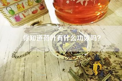 你知道荷叶有什么功效吗？
