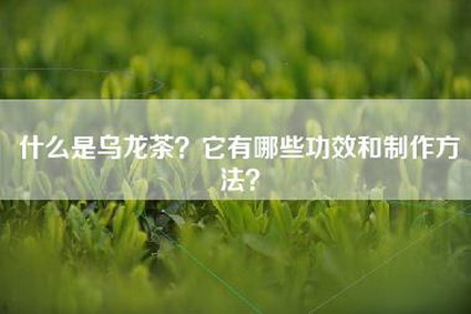 什么是乌龙茶？它有哪些功效和制作方法？