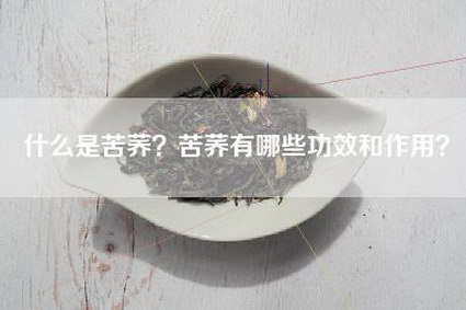 什么是苦荞？苦荞有哪些功效和作用？