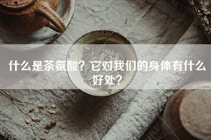 什么是茶氨酸？它对我们的身体有什么好处？