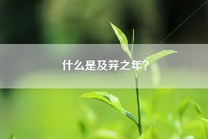 什么是及笄之年？