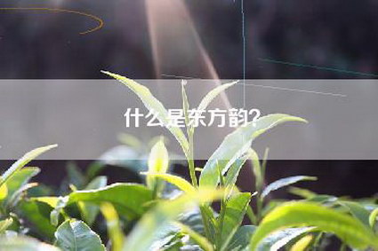 什么是东方韵？
