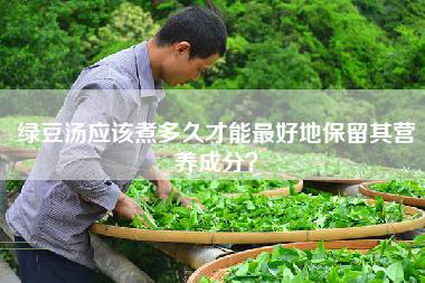 绿豆汤应该煮多久才能最好地保留其营养成分？