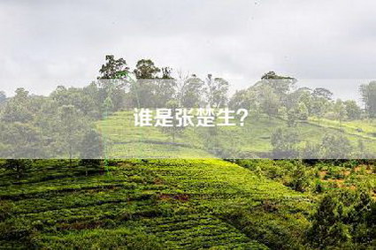 谁是张楚生？