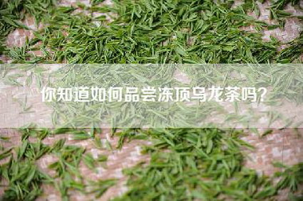 你知道如何品尝冻顶乌龙茶吗？
