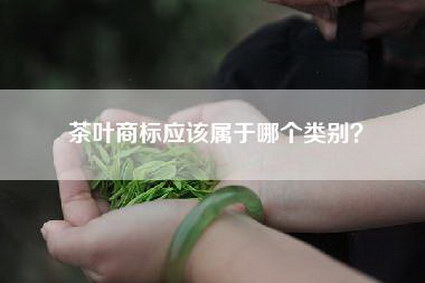 茶叶商标应该属于哪个类别？