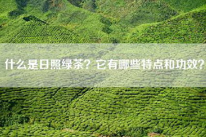 什么是日照绿茶？它有哪些特点和功效？