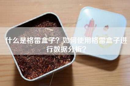 什么是格雷盒子？如何使用格雷盒子进行数据分析？