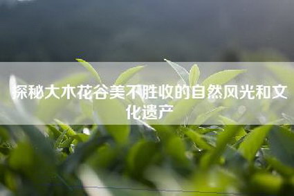探秘大木花谷美不胜收的自然风光和文化遗产