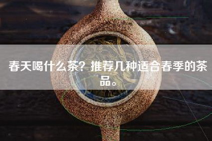 春天喝什么茶？推荐几种适合春季的茶品。