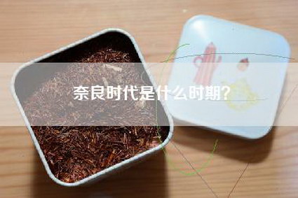 奈良时代是什么时期？