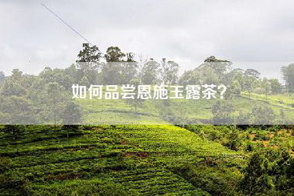 如何品尝恩施玉露茶？