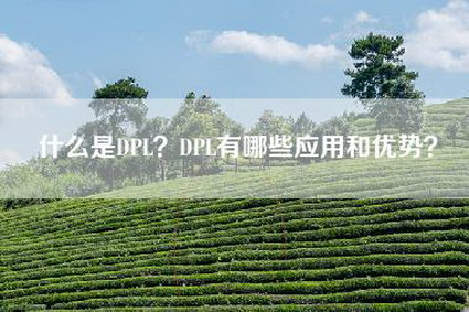 什么是DPL？DPL有哪些应用和优势？