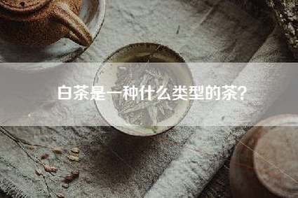 白茶是一种什么类型的茶？