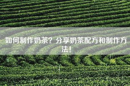 如何制作奶茶？分享奶茶配方和制作方法！